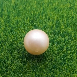 Round Faux Pearl Style Bead P308